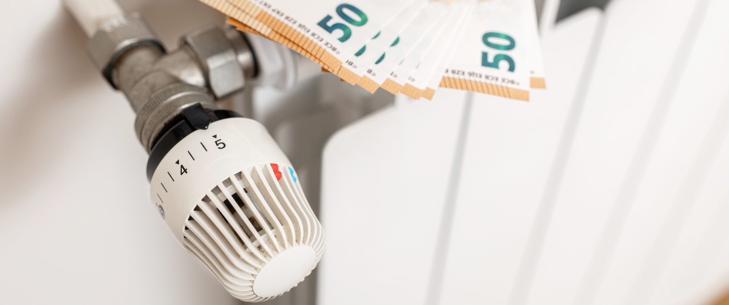Euro on heating radiator